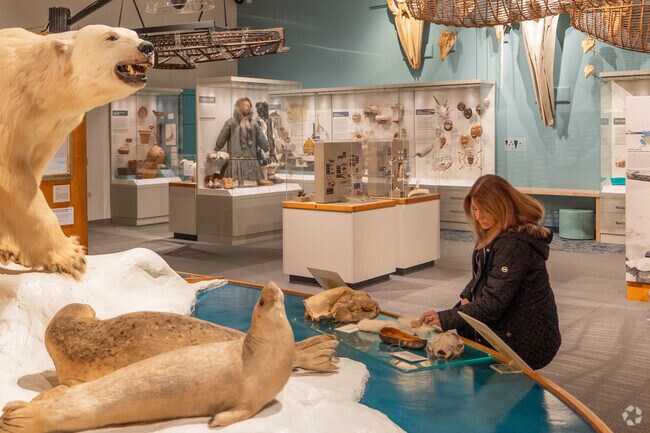 Hands-on learning at the Museum of the North in College sparks young minds.