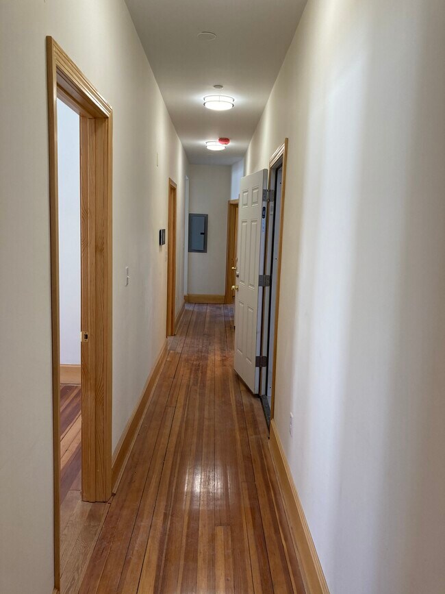 149 Hillside St unit 3, Boston, MA 02120 - photo 3