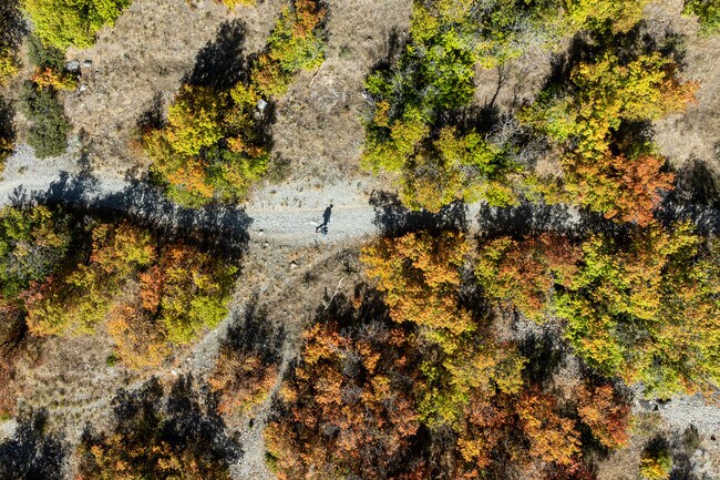 Enjoy hiking through nature at Dry Canyon Trails near Wilson.