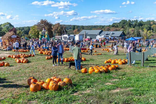 Families enjoy the pumpkin patch at the Outhouse Orchards Apple Picking Festival in North Salem.