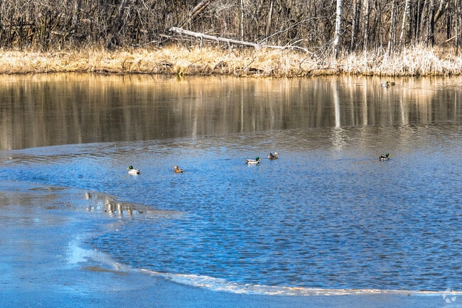 There are several animal species that visit and live in Oakdale's wildlife areas.