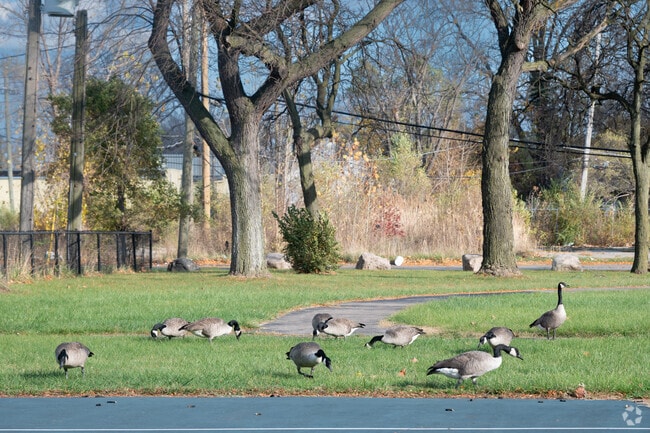 Krainz Park close to Farwell is frequently visited by live animals.