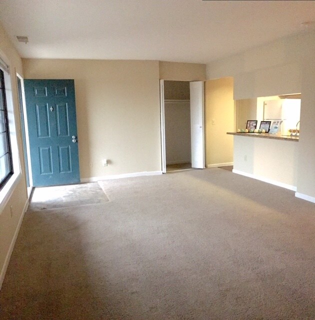 Natural Sunlight from oversize window