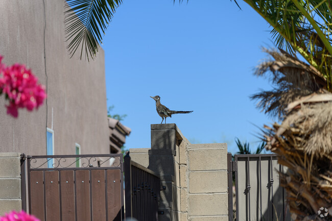 Cielo Verde is safer than the average neighborhood in the U.S., with a crime score of 3.