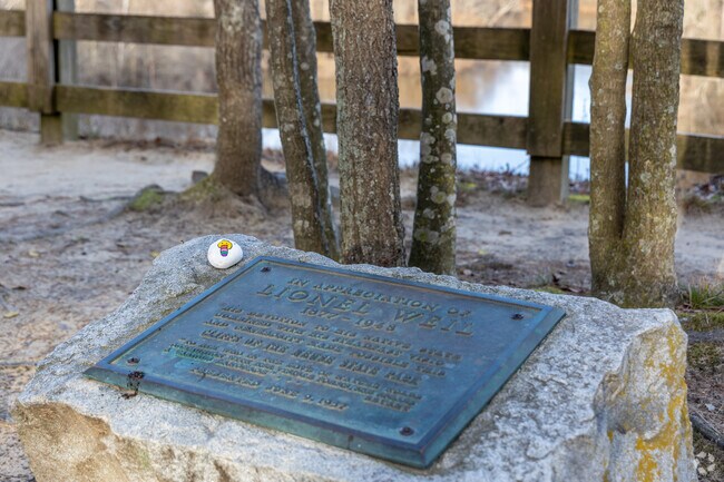 Cliffs of the Neuse State Park near Goldsboro sits on a former fault that shifted the Earth's crust millions of years ago.