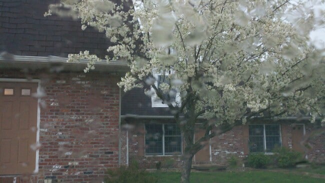 Wooded area close to downtown Mahomet