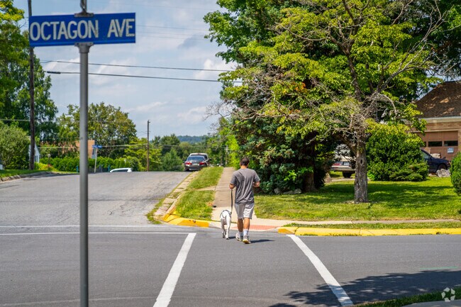 Whitfield is a dog-friendly neighborhood, with wide sidewalks and several parks.