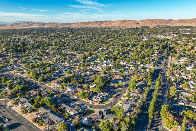 North of the Lime Ridge line in the East Bay rests the Cowell/Canterbury neighborhood.