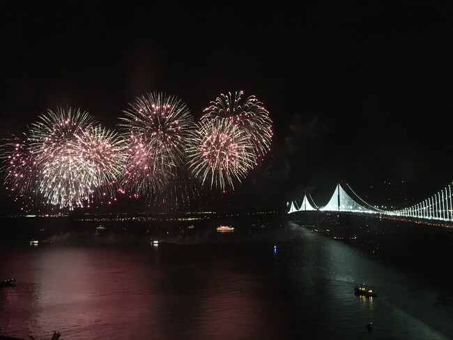 The Infinity unit D29C, San Francisco, CA 94105 - photo 4