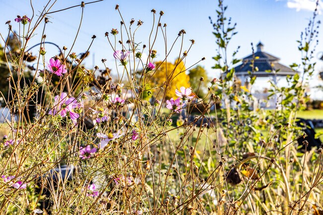 There is always something blooming at the community garden in Town of Lake.