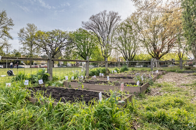 Richmond School Garden with various plants for students to witness grow year-round.