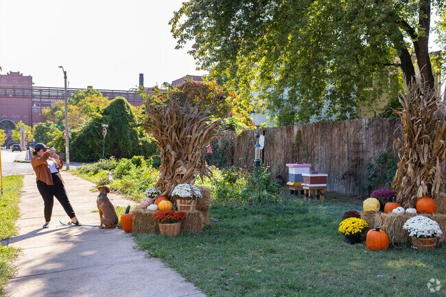 Locals love celebrating Halloween in Benton Park.