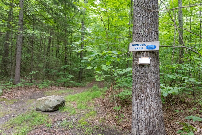 Reconnect with the outdoors on the quiet paths of Nipmuck Trail in Ashford.