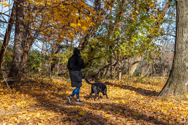 Tamaques Park offers a great location for walking, jogging, and other activities.