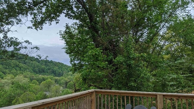 4805 Linda Ct unit 1, Kingsport, TN 37664 - photo 7