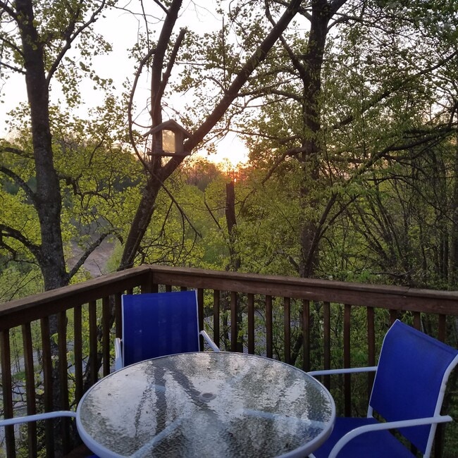 221 Long St unit Downstairs Bedroom, Boone, NC 28607 - photo 5