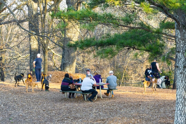 The dog park at South Bend Park in Southeast Atlanta is very popular on weekday evenings.