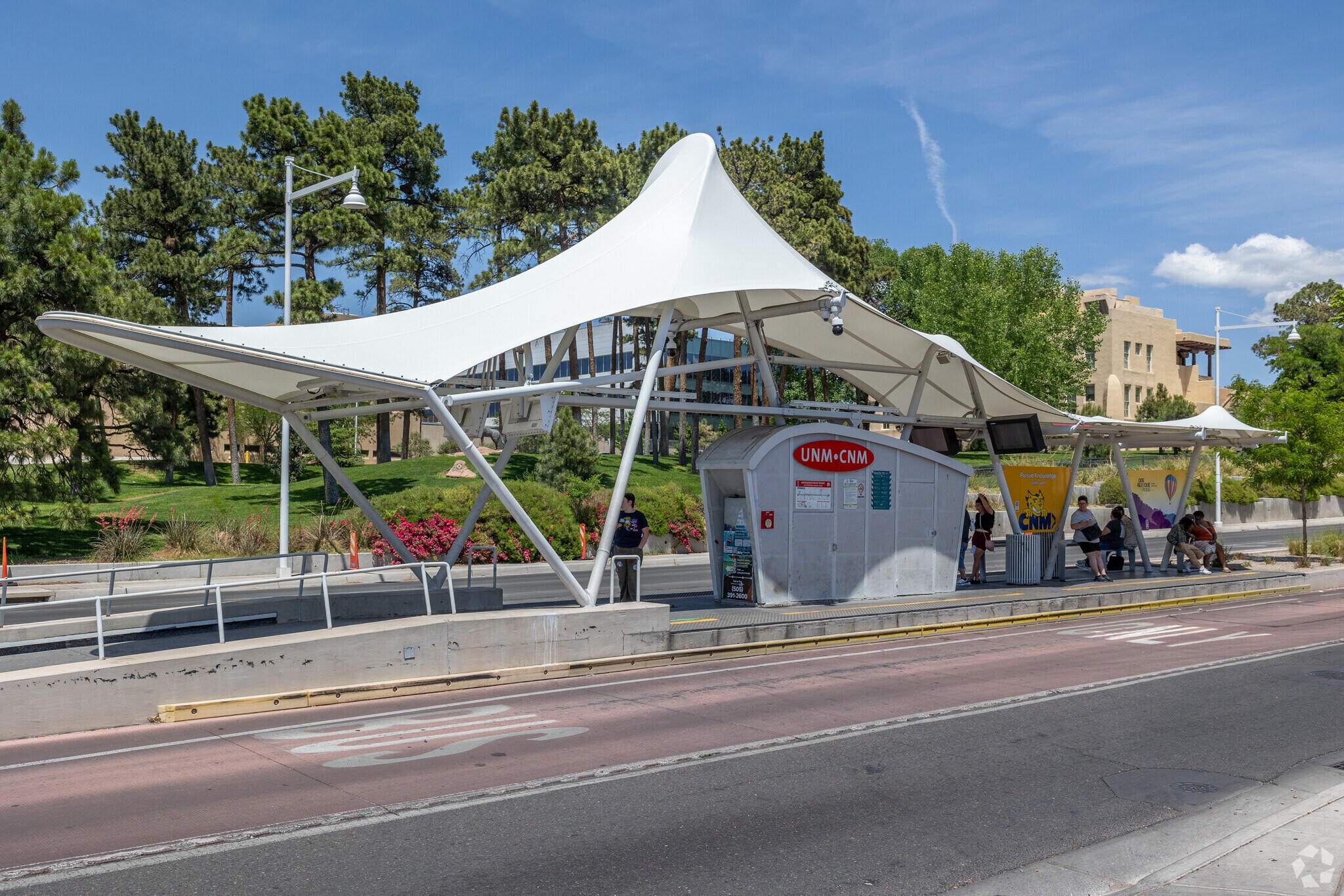 ART buses wait beneath a white canopy along Central Avenue in University Heights.