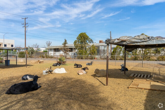 In Meadowbrook, residents embrace a rural charm, with many keeping farm animals like chickens, goats, and horses, adding a rustic touch to the community's peaceful vibe.