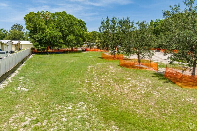 At Meadows Dog park in New Port Richey South the dogs have room to run around and play.