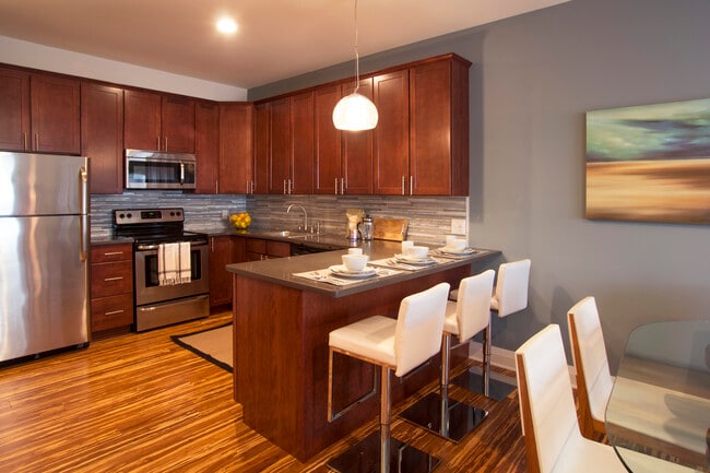 Premier Properties of New Brunswick, New Brunswick, NJ 08901 - photo 6