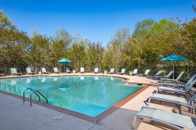 Hillside Square, Gainesville, GA 30504 - photo 5