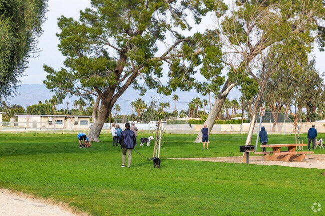 Paws and playtime unite dog owners at Desert Highland Gateway Estates' park.