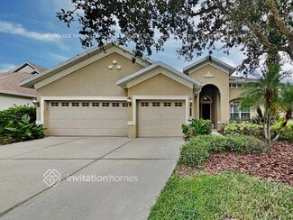 20401 Walnut Grove Ln, Tampa, FL 33647