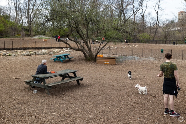 Sir Williams Dog Run at Fort Tryon Park.