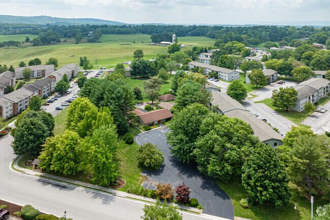 Tall Oaks Montessori School