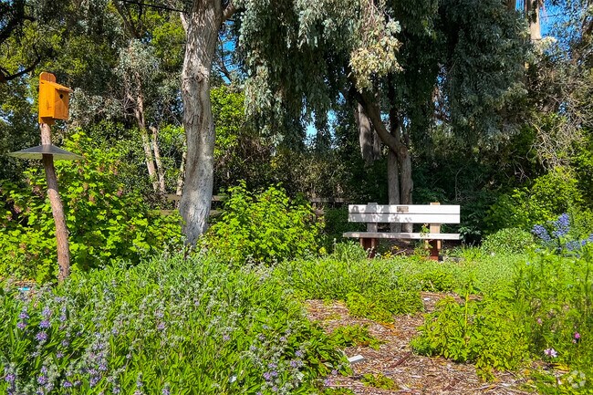 Cornelis Bol Park in Barron Park features a small garden with native flora.
