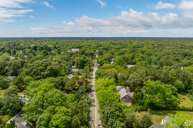 Streets in Harwich Center are tree-lined with plenty of nature around houses.