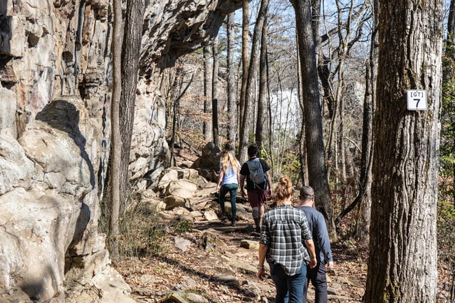 Discover the stunning beauty of Noccalula Falls in Gadsden City, where a network of captivating hiking trails leads you to an awe-inspiring waterfall. Don't miss the chance to immerse yourself in nature's splendor and experience the breathtaking scenery that awaits!