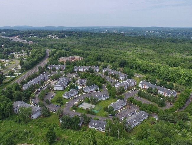 Aerial View of the Community