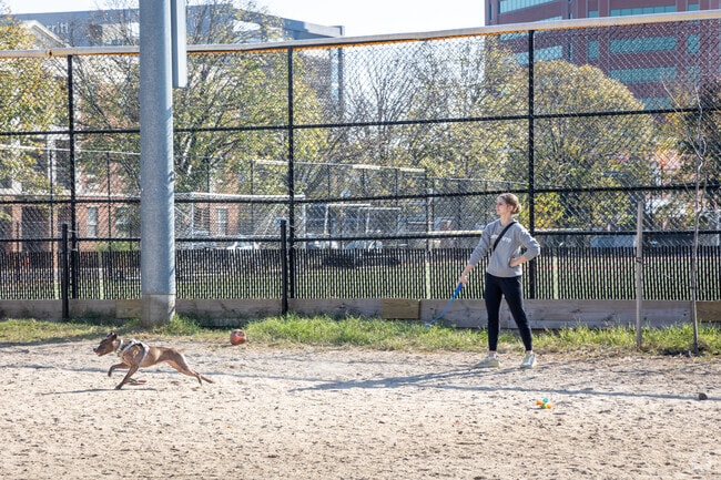 Canton Dog Park is a dog park in Baltimore.