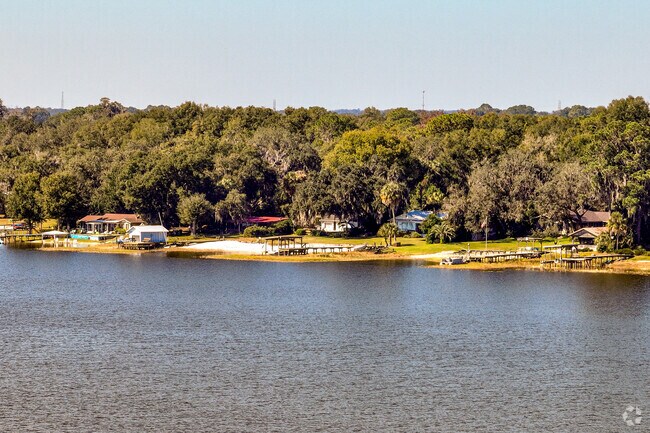 A lake view of Carney Island Recreation & Conservation Area on Lake Weir.