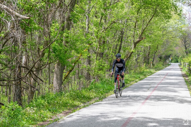 Biking is a fun and easy way to travel around North Central.