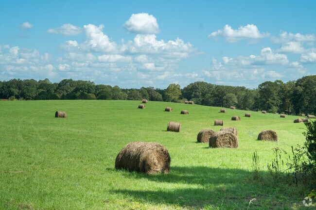 Enjoy the farm life in South Shelby.