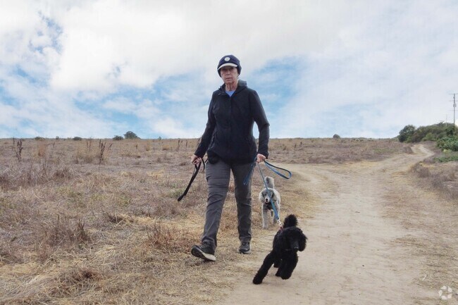 More Mesa Beach is a great place to walk the dog in East Goleta Valley.