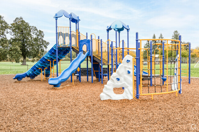 Elmira Elementary School just added new play structures for kids to enjoy.