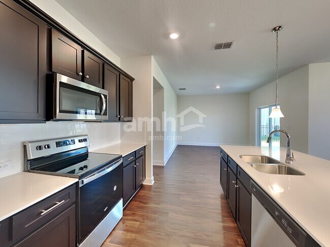 33817 Widman Way, Wesley Chapel, FL 33543 - photo 4