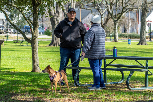 Stevenson Park in Friendswood is a dog friendly area.