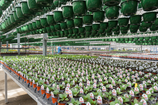 Planting season is best if you stop by Maple Leaf Farms in Gordons Corner for conveniently started flowers.