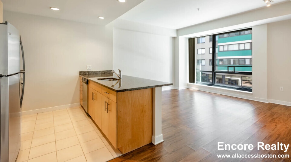 8 Emerson Place unit 90-8, Boston, MA 02114 - photo 1