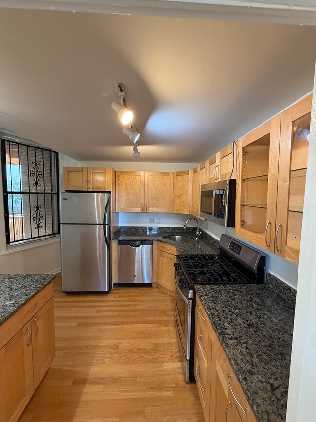 127 Maple Ave, Chicago, IL 60610 - photo 3