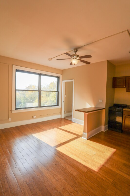 5740 S Stony Island Ave unit 1, Chicago, IL 60637 - photo 4