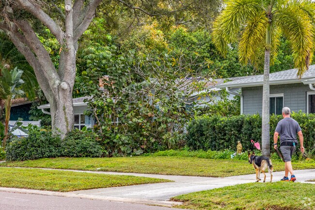 With lushes greenery surrounding you, enjoy a walk with your pup in Coquina Key neighborhood.