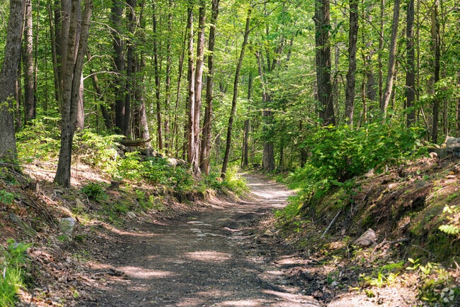 The hiking trail within Nottingham Mountain is dense with forest as well as wild flora and fauna.