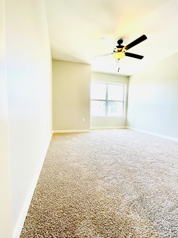 20877 South Ct, Omaha, NE 68022 - photo 6