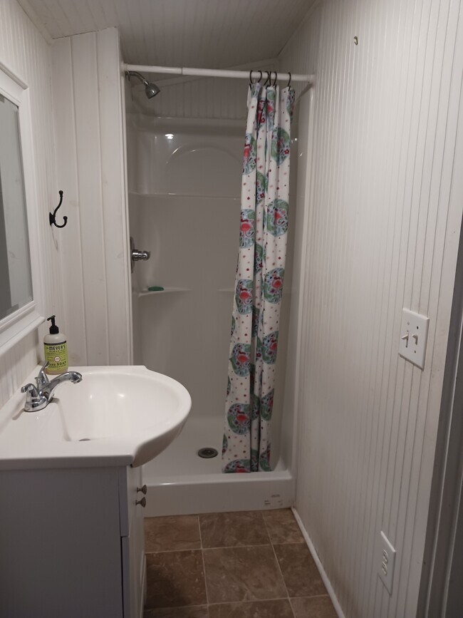 76 Overlook Dr unit B Basement, Leicester, NC 28748 - photo 6